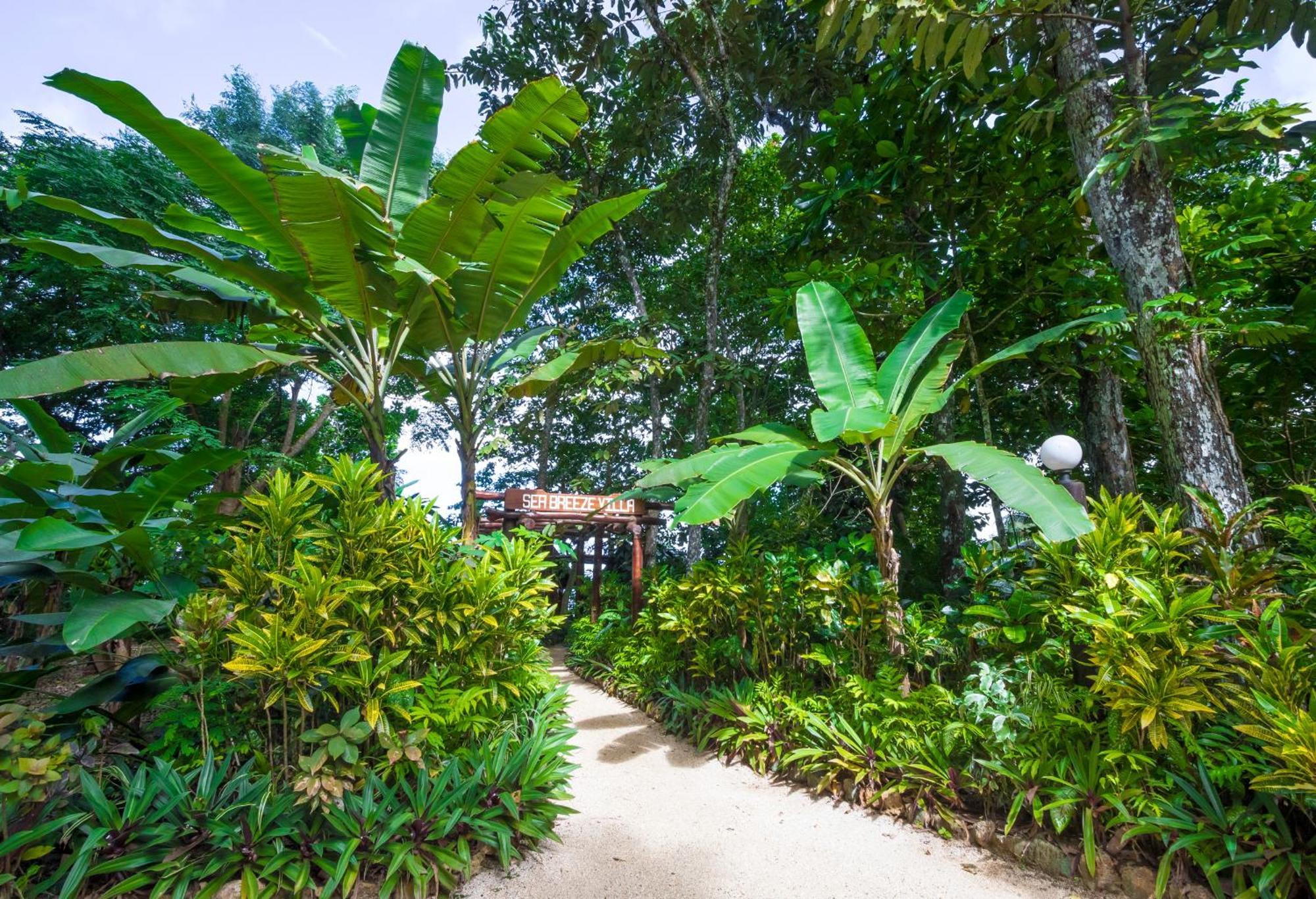 Savasi Island Resort Савусаву Номер фото