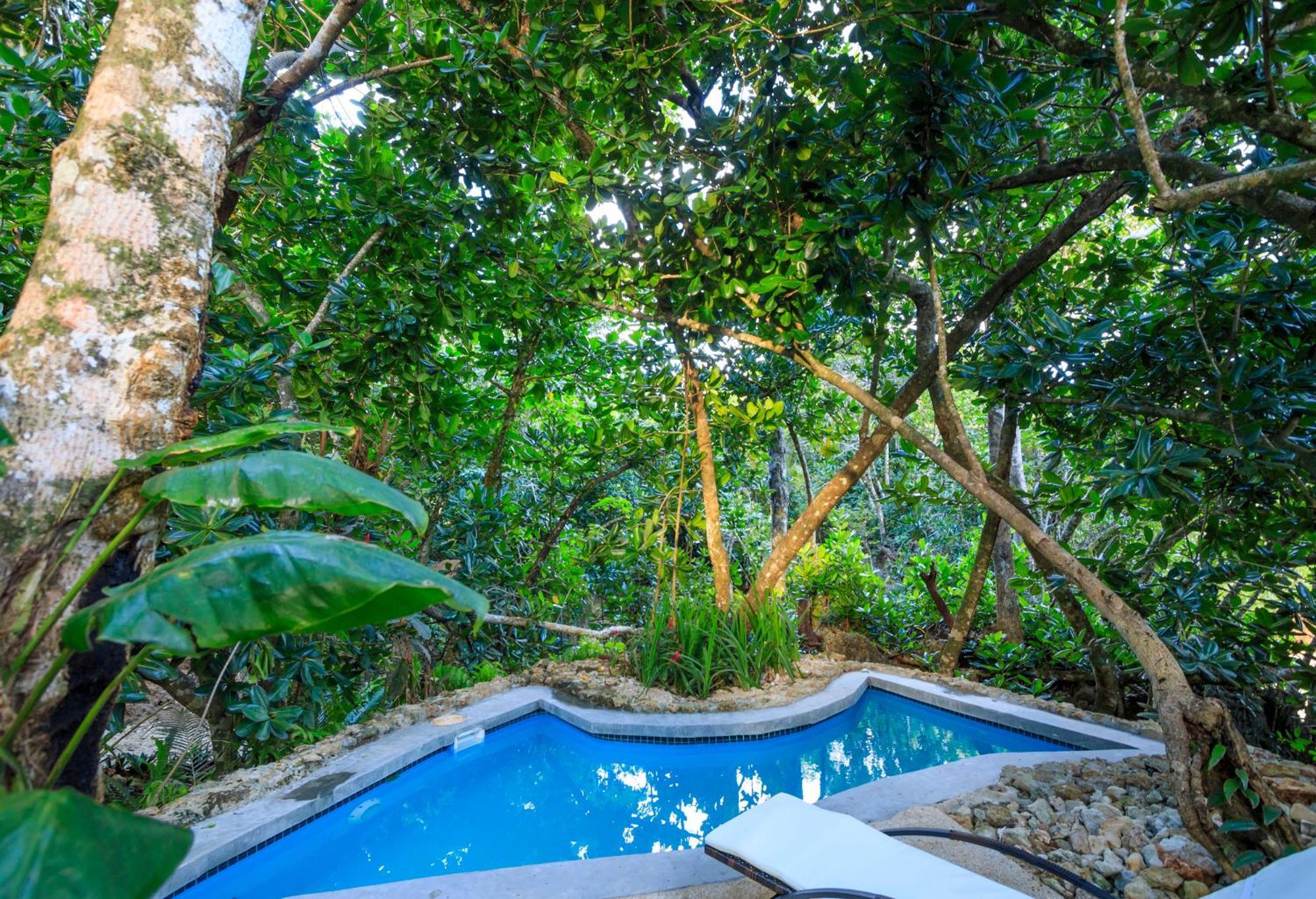 Savasi Island Resort Савусаву Номер фото